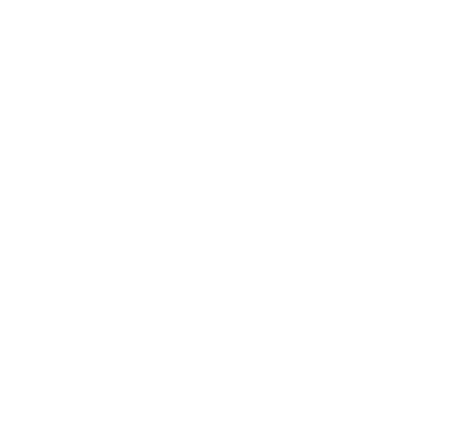 Thomas Regout International logo