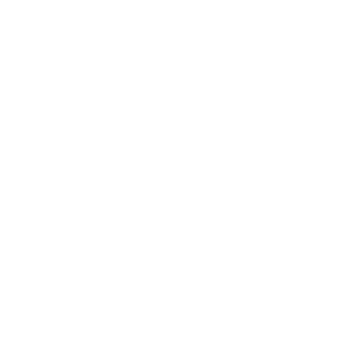 FlexoTec logo